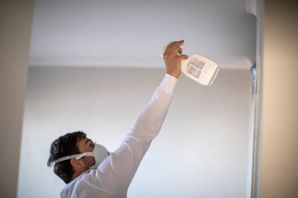 Best Professional Mold Removal  in Hot Springs, AR