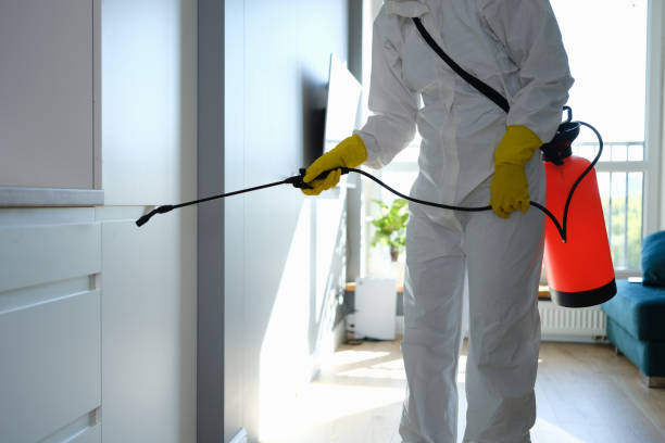 Water Damage Restoration in Hot Springs, AR