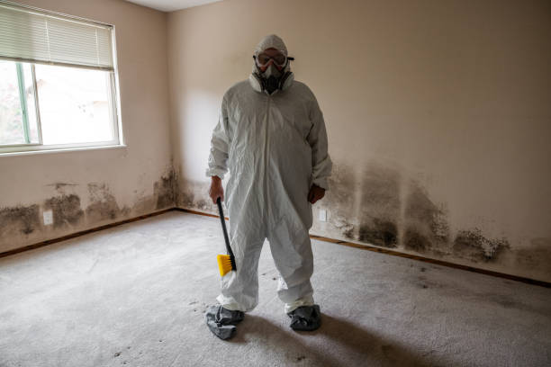 Best Toxic Mold Removal  in Hot Springs, AR